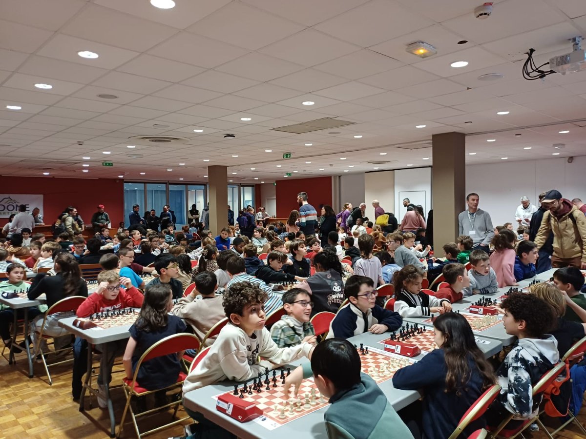 WhatsApp Image 2026-01-28 at 17.37.152